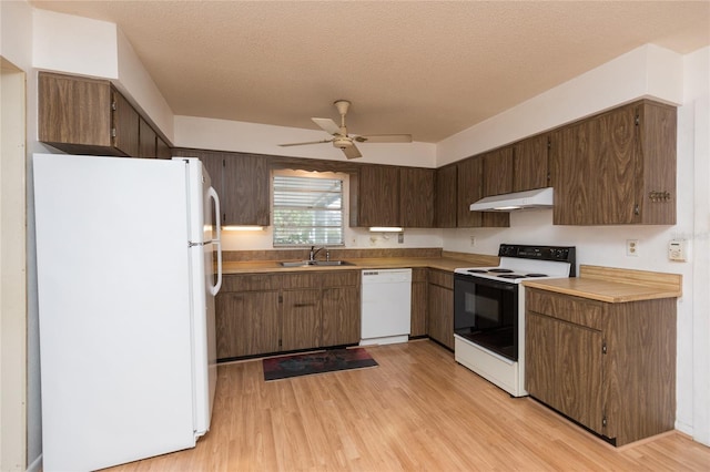 kitchen with sink, white appliances, ceiling fan, a textured ceiling, and light hardwood / wood-style flooring