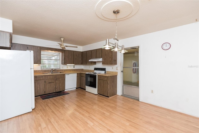 kitchen with light wood-type flooring, sink, white appliances, and decorative light fixtures