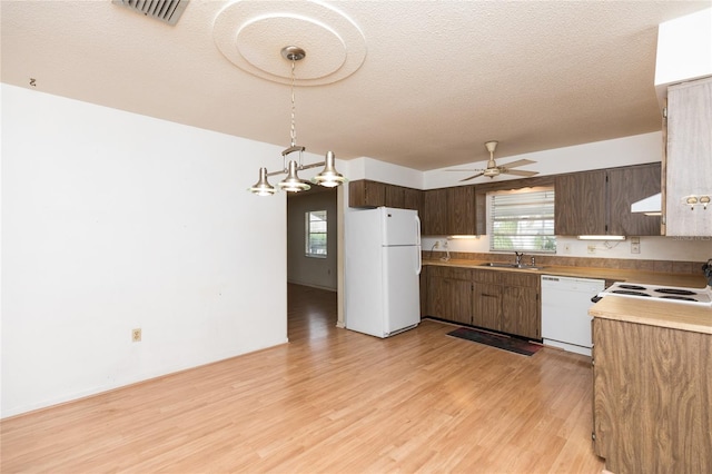 kitchen featuring decorative light fixtures, sink, plenty of natural light, white appliances, and light hardwood / wood-style flooring