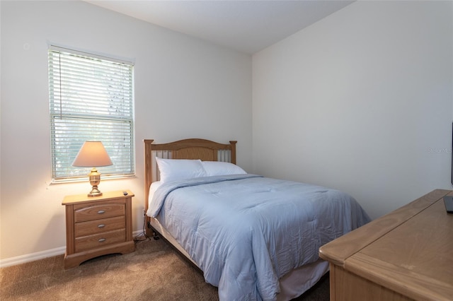 bedroom with carpet flooring