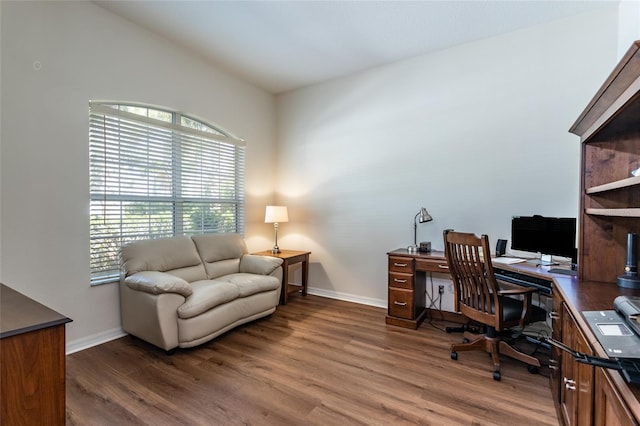 office space with dark hardwood / wood-style flooring