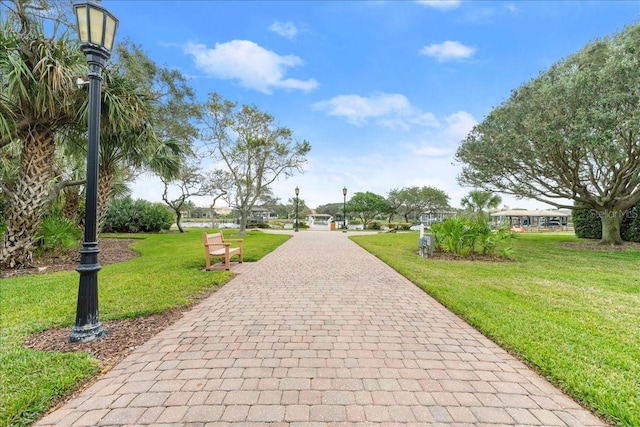 view of community featuring a lawn