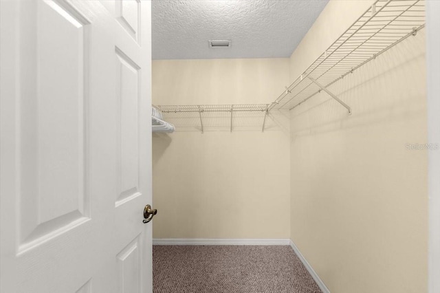 walk in closet with carpet floors