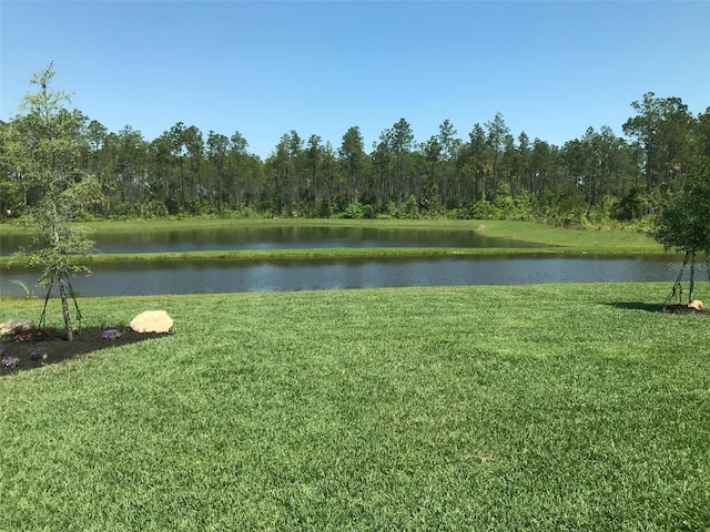 view of water feature