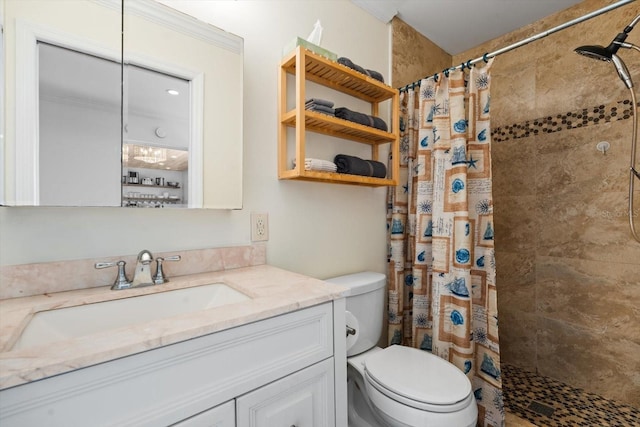 bathroom featuring vanity, toilet, and a shower with shower curtain