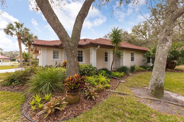 view of front of house with a front yard