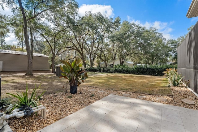 view of yard featuring a patio area