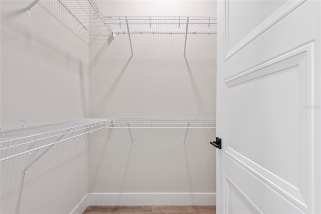 spacious closet featuring hardwood / wood-style floors