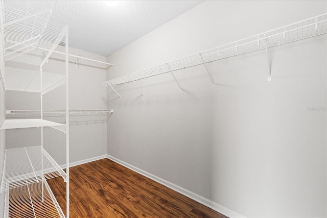 spacious closet with dark wood-type flooring