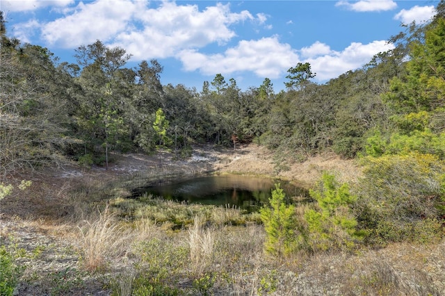 view of landscape with a water view