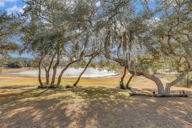 view of yard featuring a water view