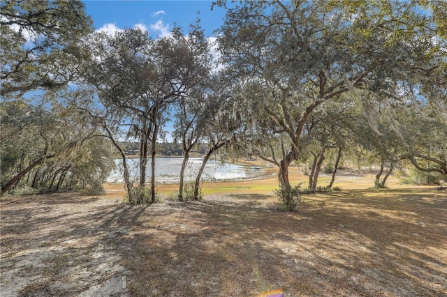 view of yard with a water view