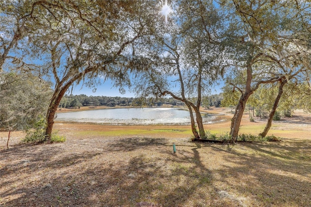 view of yard featuring a water view