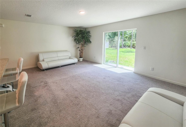 living room with carpet and a textured ceiling