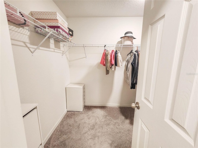 walk in closet featuring carpet floors