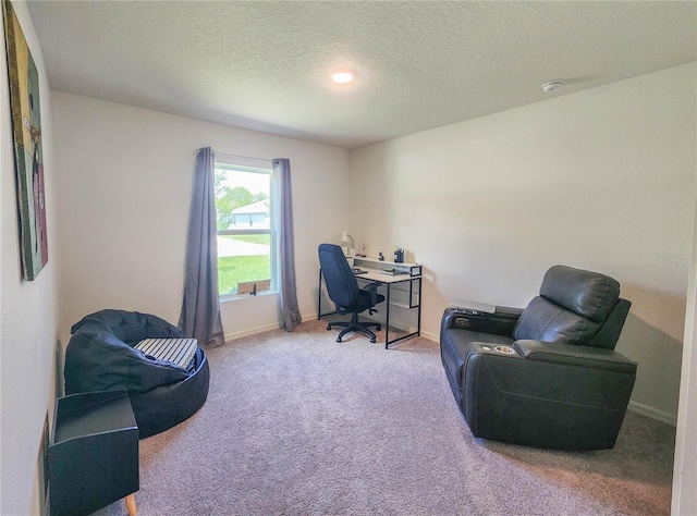 carpeted office with a textured ceiling