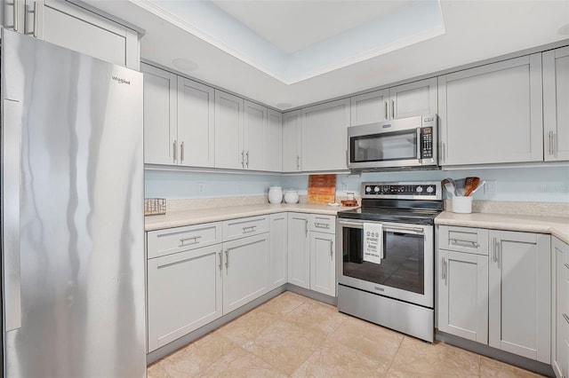 kitchen featuring stainless steel appliances and a raised ceiling