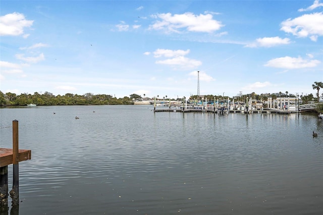 view of dock featuring a water view