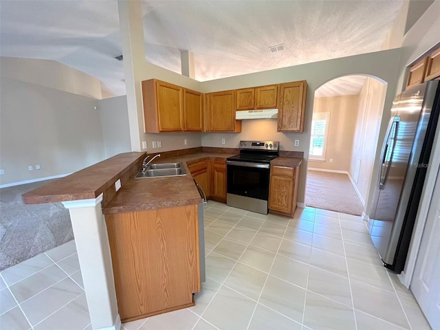 kitchen with vaulted ceiling, sink, light colored carpet, kitchen peninsula, and stainless steel appliances