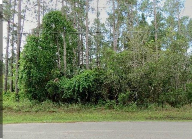 Listing photo 3 for 55 Robinson Dr, Palm Coast FL 32164