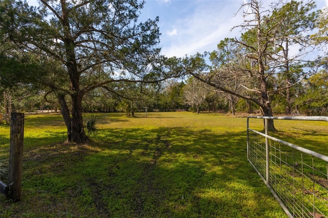 view of yard featuring a rural view