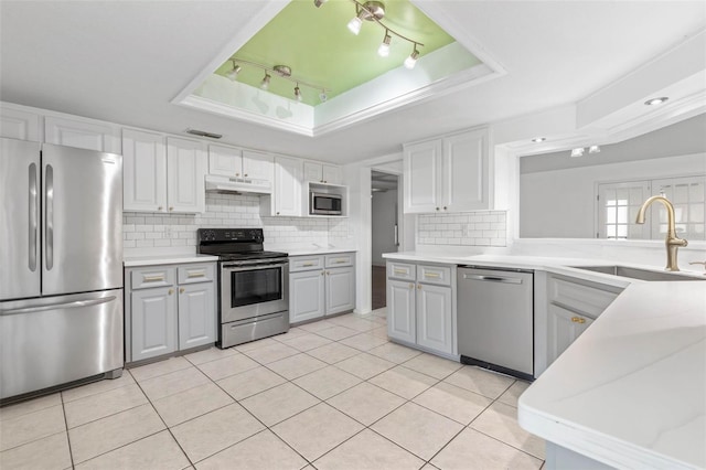 kitchen with a sink, a tray ceiling, under cabinet range hood, and stainless steel appliances