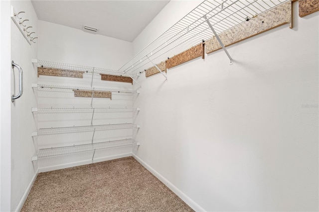 walk in closet featuring carpet flooring