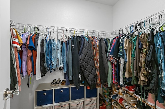 view of spacious closet