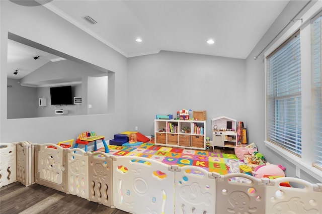 rec room featuring lofted ceiling and dark hardwood / wood-style flooring