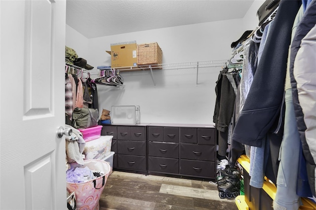 spacious closet featuring wood-type flooring