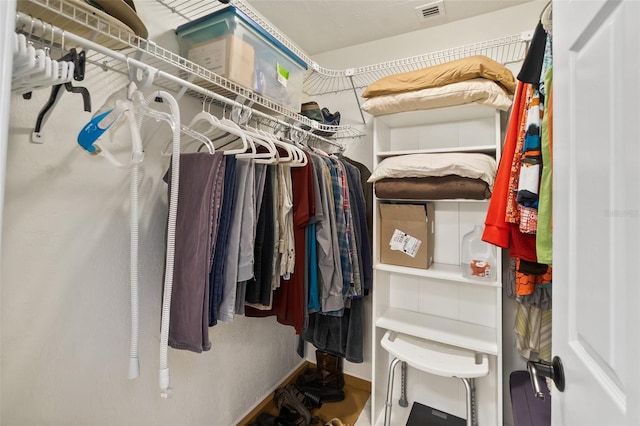 view of spacious closet