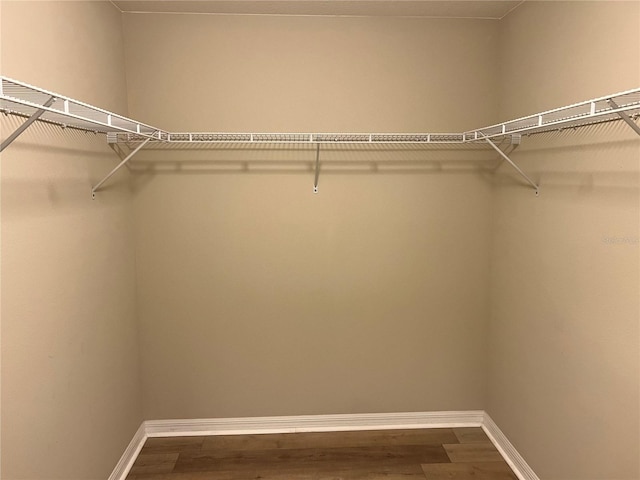 walk in closet with hardwood / wood-style flooring