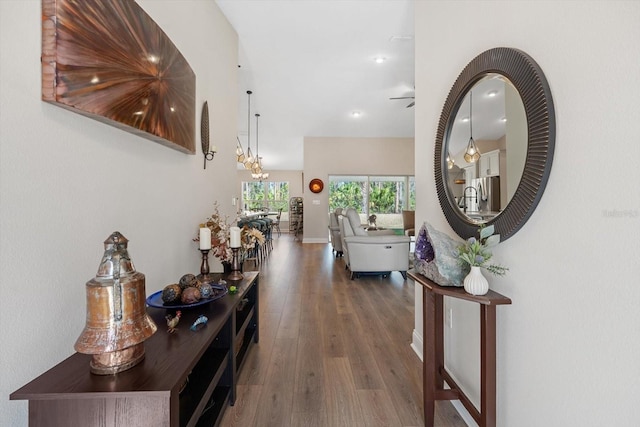 hallway featuring an inviting chandelier and hardwood / wood-style flooring