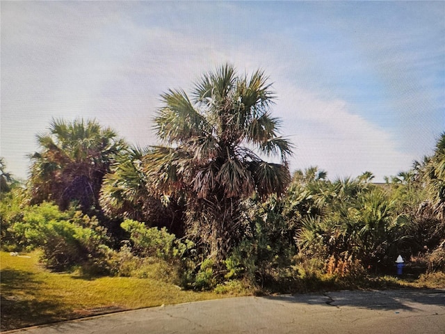 Listing photo 2 for 12 Laurel Dr E, Palm Coast FL 32137