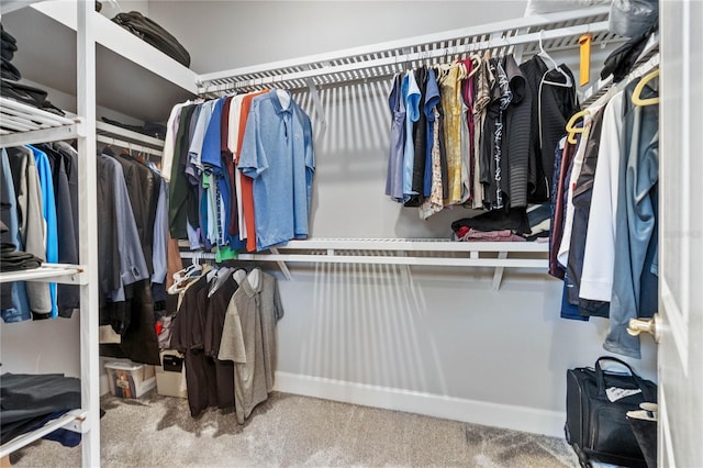 spacious closet featuring carpet floors