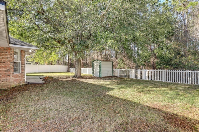 view of yard featuring a storage unit