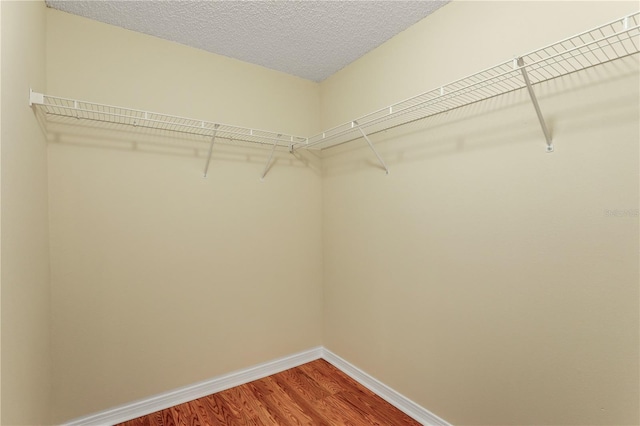 walk in closet featuring hardwood / wood-style floors