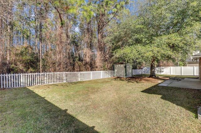 view of yard with a patio and a storage unit