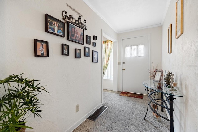 interior space featuring crown molding and carpet floors