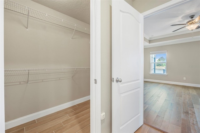 spacious closet with a raised ceiling, ceiling fan, and light hardwood / wood-style flooring