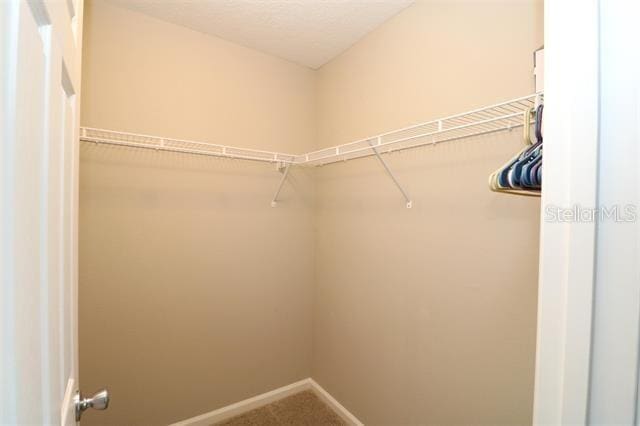 walk in closet featuring carpet