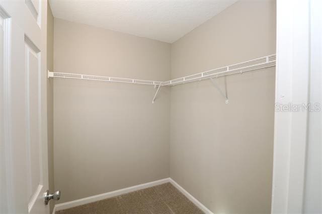 walk in closet with carpet