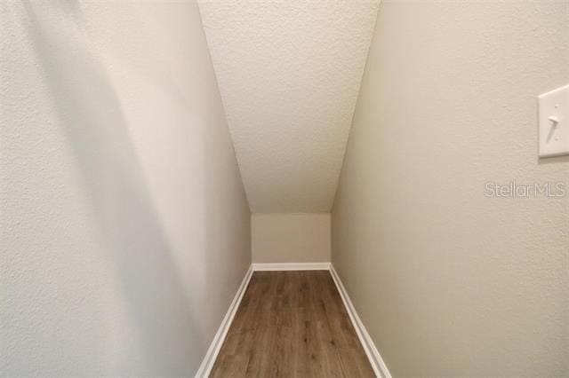 walk in closet with hardwood / wood-style flooring and lofted ceiling