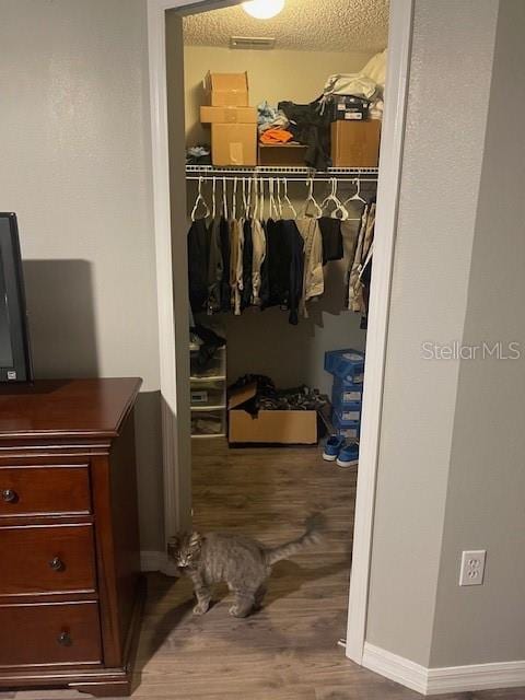 view of closet