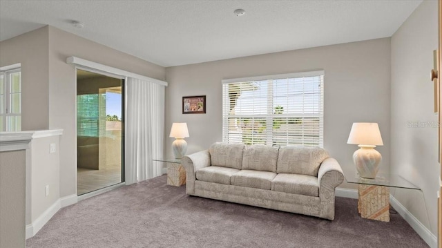 carpeted living room featuring a textured ceiling