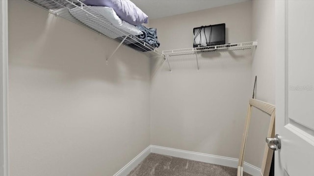 spacious closet with carpet flooring