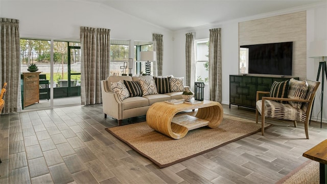 living room featuring vaulted ceiling