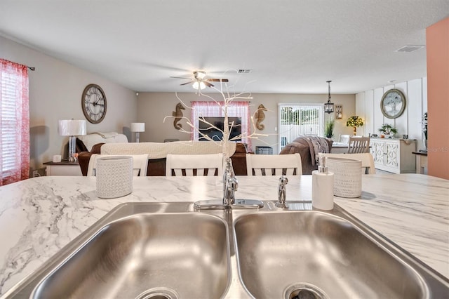 room details with sink and ceiling fan