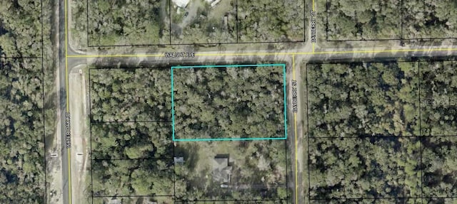 6615 Walnut Ave, Bunnell FL, 32110 land for sale