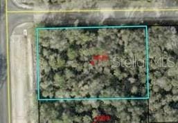 6665 Walnut Ave, Bunnell FL, 32110 land for sale